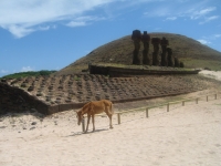 Statues Ile de Paques