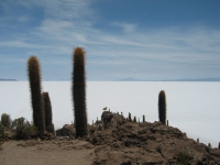 Bolivie en amérique du sud