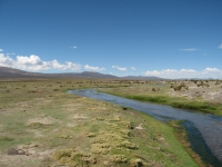 Uyuni Bolivie