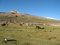 Uyuni Bolivie