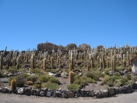 Uyuni Bolivie